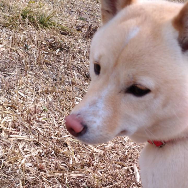 9f416dd6 85b0 4c2a 9294 1c0493ed902e 1519816358336