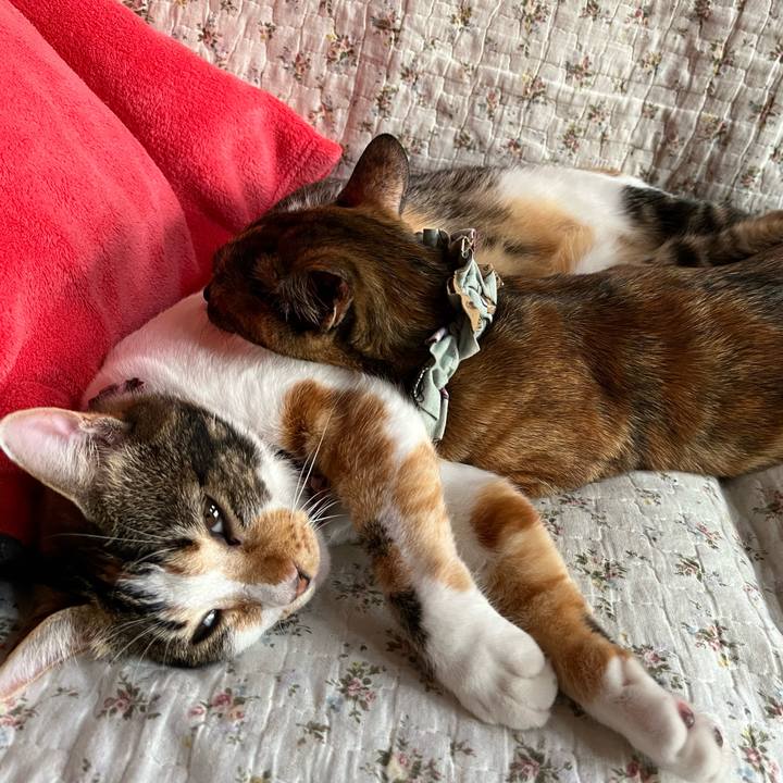 9f418aa7 4ab4 4c42 a5a0 9eb837cdc072 1668301905510