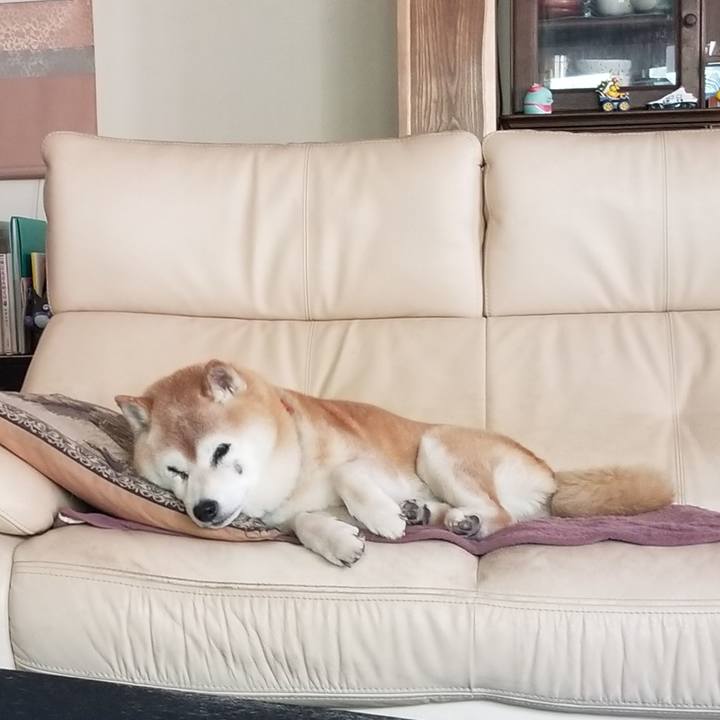 9f41be81 a926 46a6 8616 747e4f6cb7e2 1747366886076