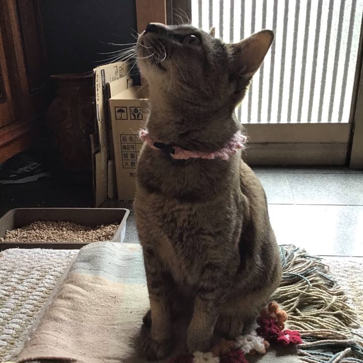 9f41cbc6 588e 48e4 bed2 a9a47135dd60 1590316103639