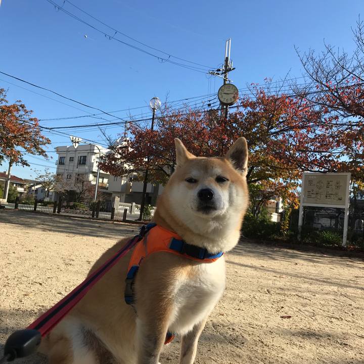 9f41fd5a ce86 4f4c 8409 d1b6498e3f85 1511241769741