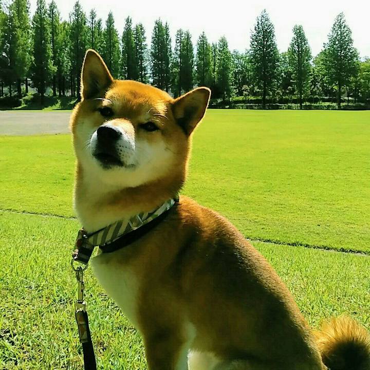 9f42240e 087b 48f6 b5b1 da9a245943fa 1560213015063