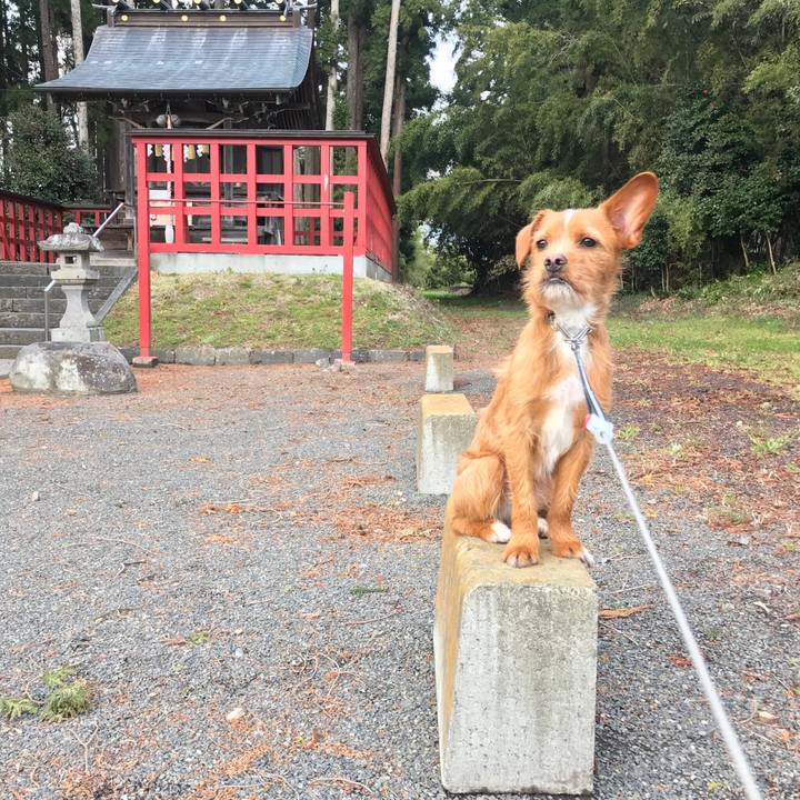 9f422bbd eef7 47b8 b912 59754ba69724 1555059998450