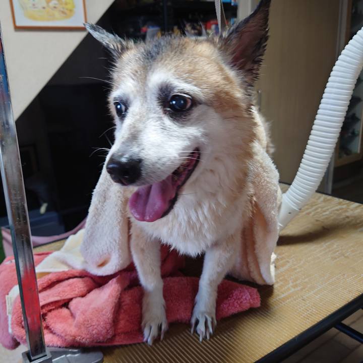 9f42610d fe7c 4501 960b 1402482b169b 1707275284999