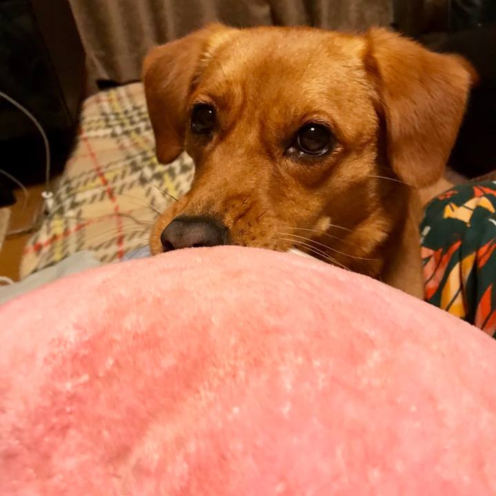 9f42920c d4fc 4439 94ec 7e9167c8b175 1512641276426