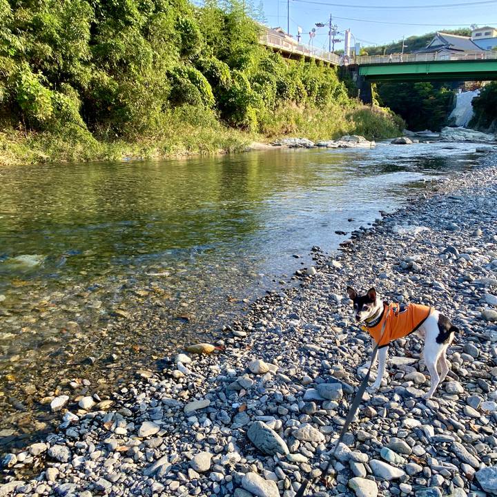 9f42bfb6 b649 4f71 bea7 6d5040d01ce7 1604146059311