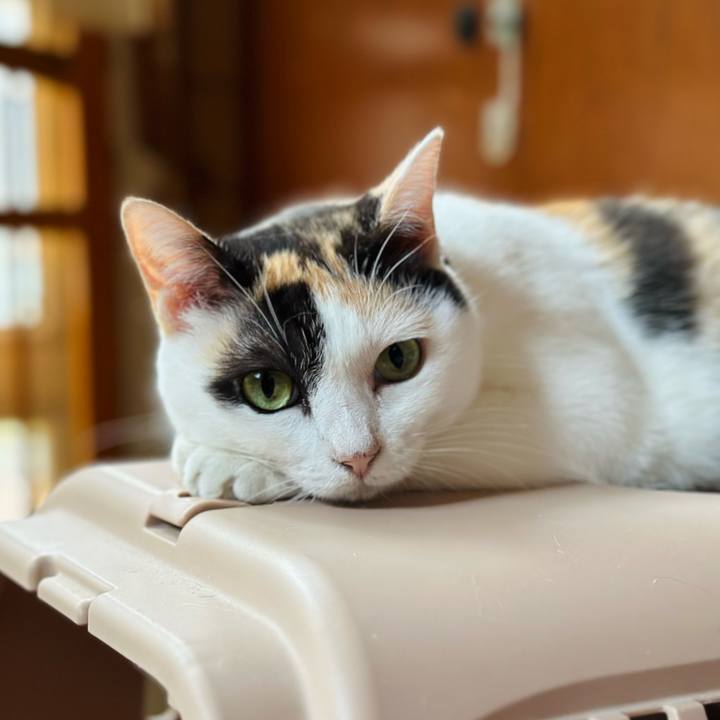 9f42d96f c0c5 403c 91c8 b976d99c94d1 1695262282569