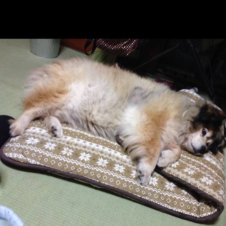 9f42f17c 11ac 4605 9d9a 88aa67db3bd8 1656401395691