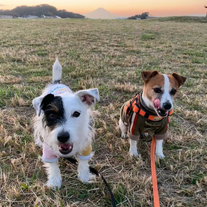 9f433692 b3e5 4f08 8bda 9c38865ae461 1605255806883