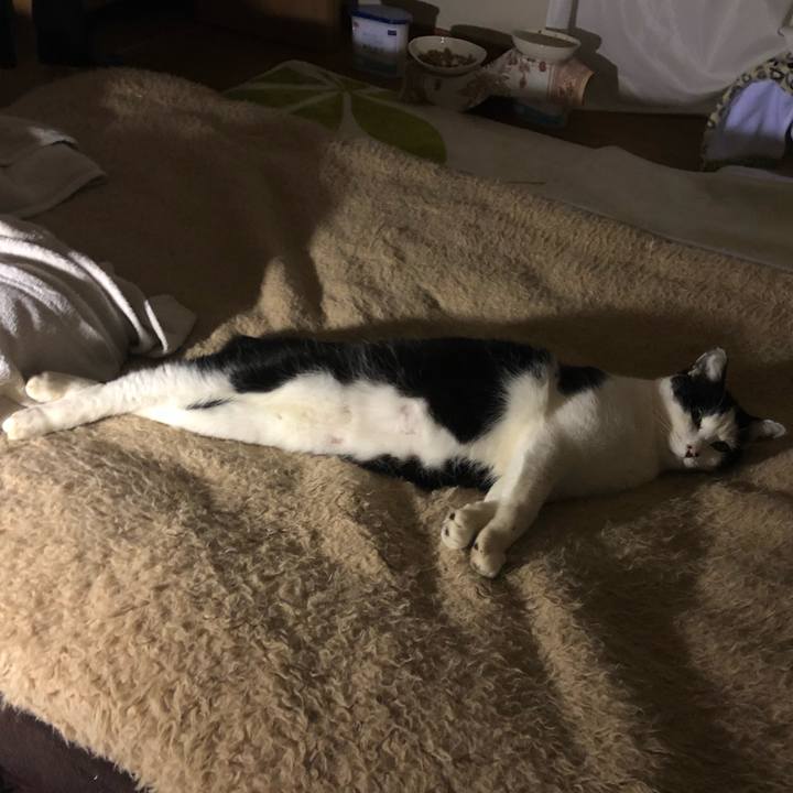 9f433d08 88c1 4105 8fde 0c5c723f7173 1547728765096