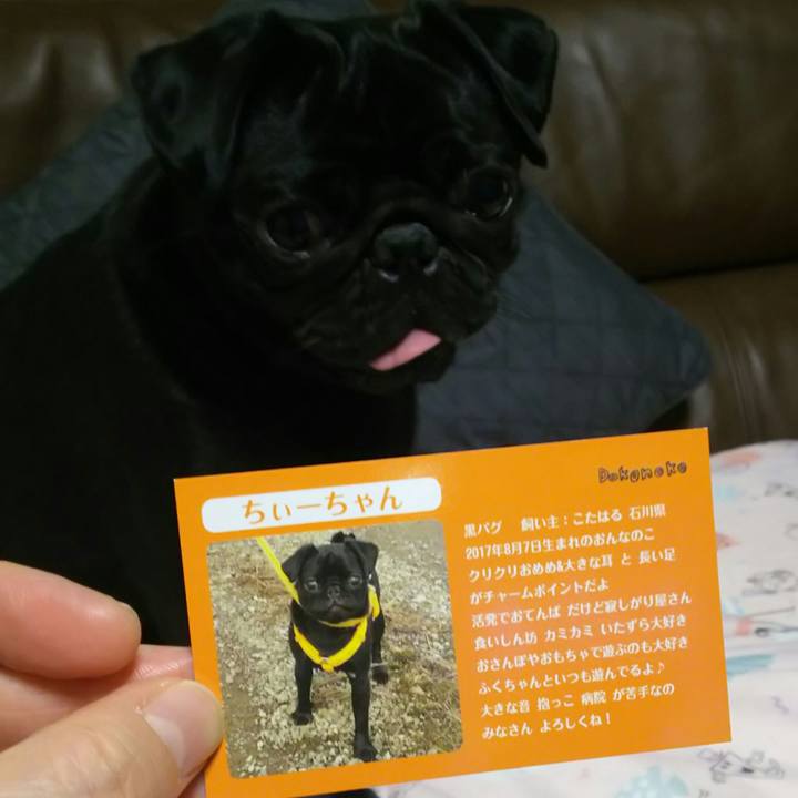 9f4349bc 20d9 4680 acfd 73a260109a0f 1531055133950