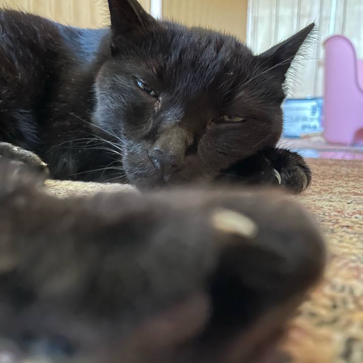 9f438839 9534 485e a88f 68b04575b212 1662773808015