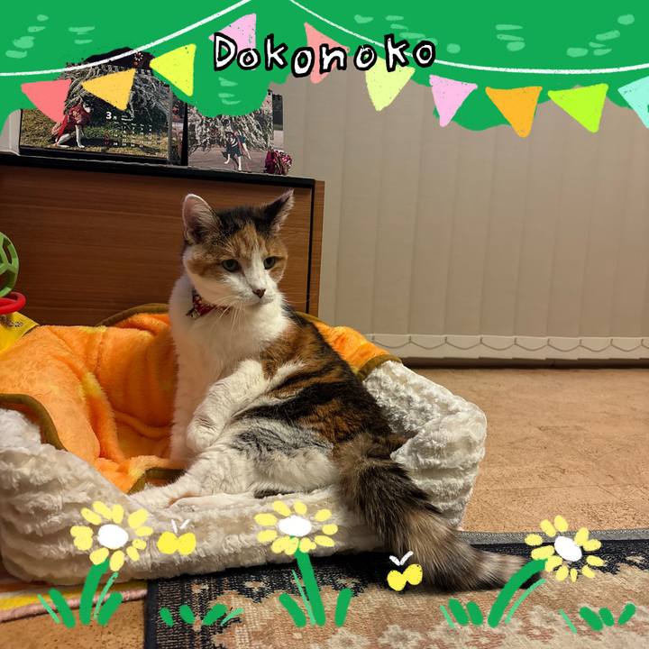 9f4389fc 9017 4872 8bfd 4cf0d7336f48 1711192181193