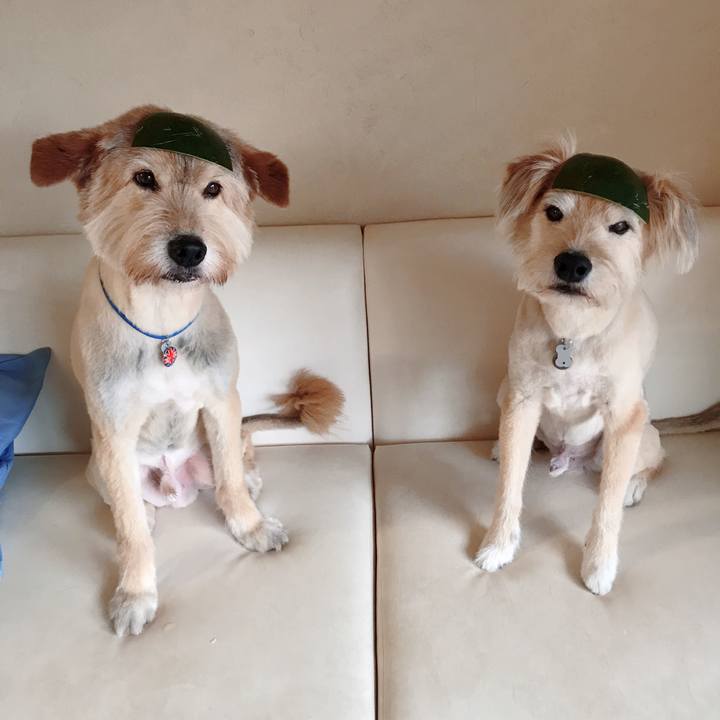 9f439650 b847 4d2a bcdb 745b40a9b6fd 1595041076926