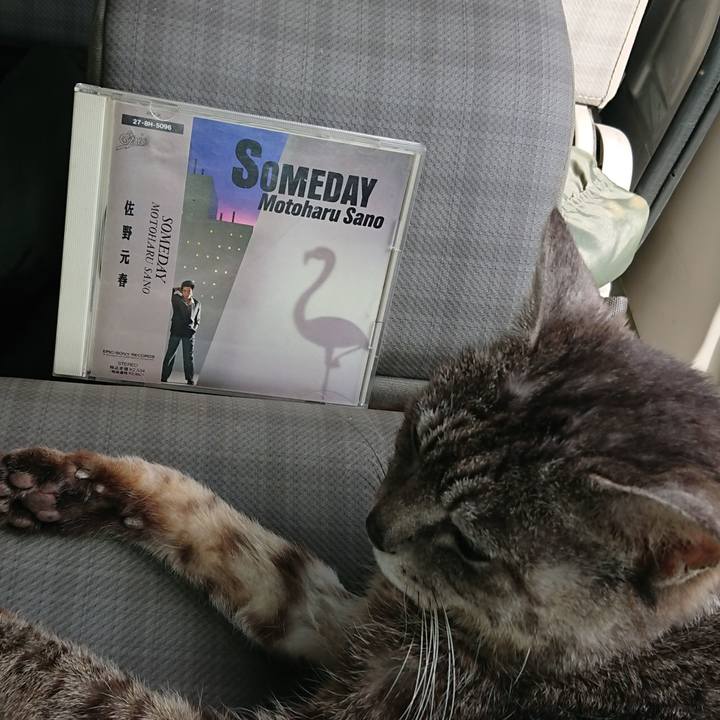 9f43eef8 2640 4b89 827e bf80e9537899 1588570782416