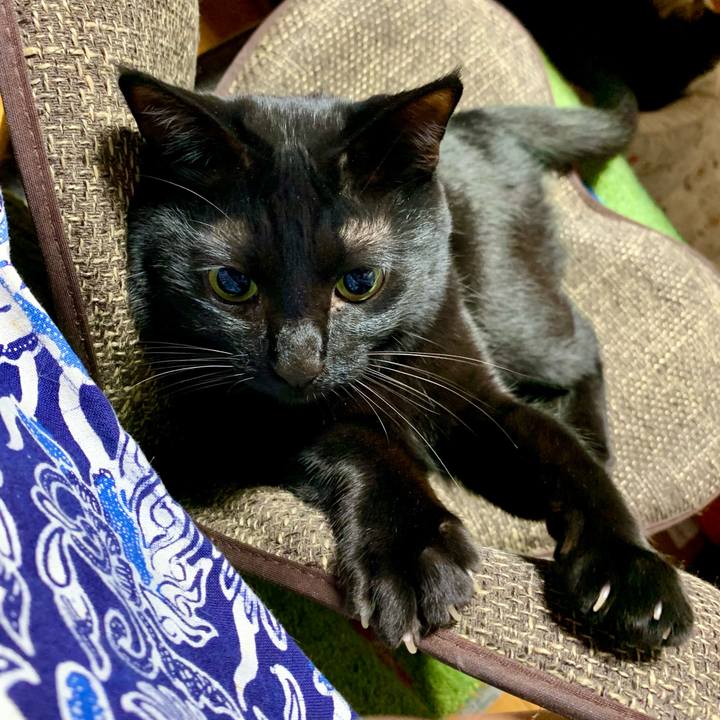 9f441f95 05f4 49df 9a3a 062769dae8ea 1677328559967