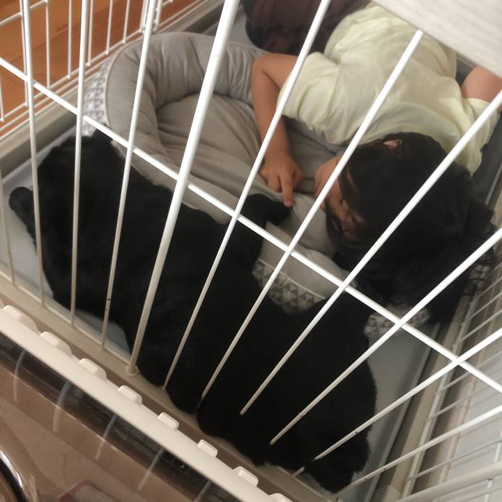 9f44396b 3b94 461a b2fe 26892805657e 1596064459037