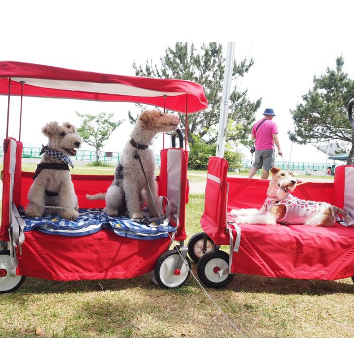 9f44444b 29d5 4d49 9fdf 5fb2c7c755ca 1557666145756