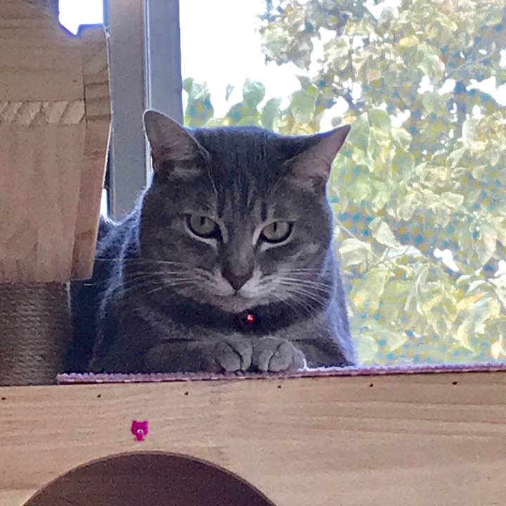 9f445596 7eea 4836 a3cd 84f2c01fdd10 1596440560985