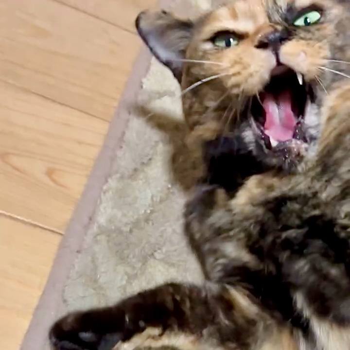 9f4473e3 ae1f 4807 8ddd b9fb244d5ed0 1755808023335