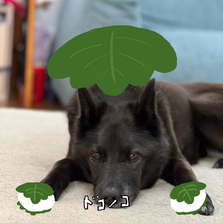 9f449c79 5810 41b9 a040 a7f7be6dd86f 1749116279683