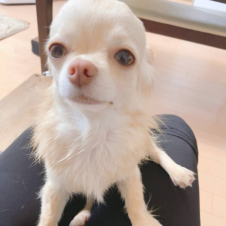 9f44c3de e6a5 4296 9432 c4f83a939662 1618820924003