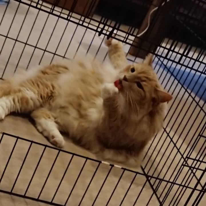 9f44ed84 4be8 4949 ad99 add75f326e58 1566271029759