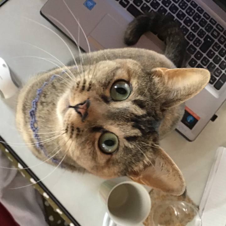 9f450ef3 a499 4761 861e 6a1c220bcf07 1616823794415