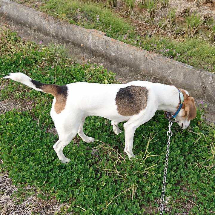 9f452b4c 7bcf 4f16 a234 4e0c0c4f0e18 1574224014416