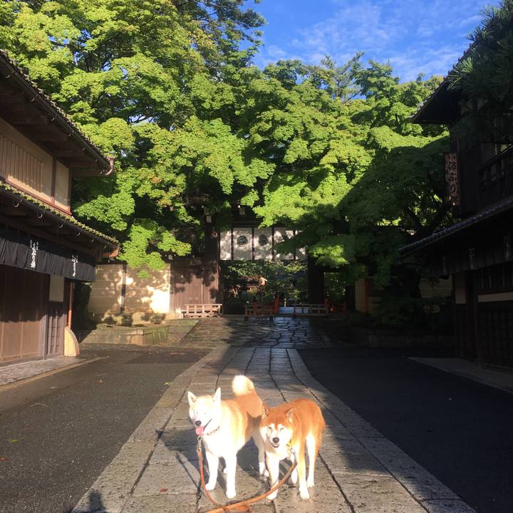 9f45823d dc32 4cb4 8157 22b8478ed255 1531004357424