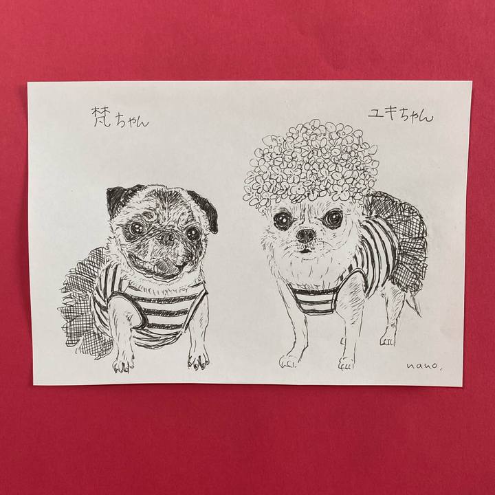 9f45861e a91b 4675 ae81 4377028b573a 1636595709109