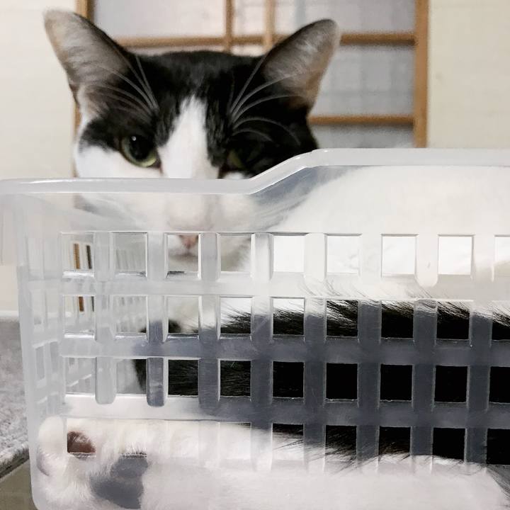 9f4589d6 ab33 4c97 9ca3 4d3ea6641fa8 1538099640910