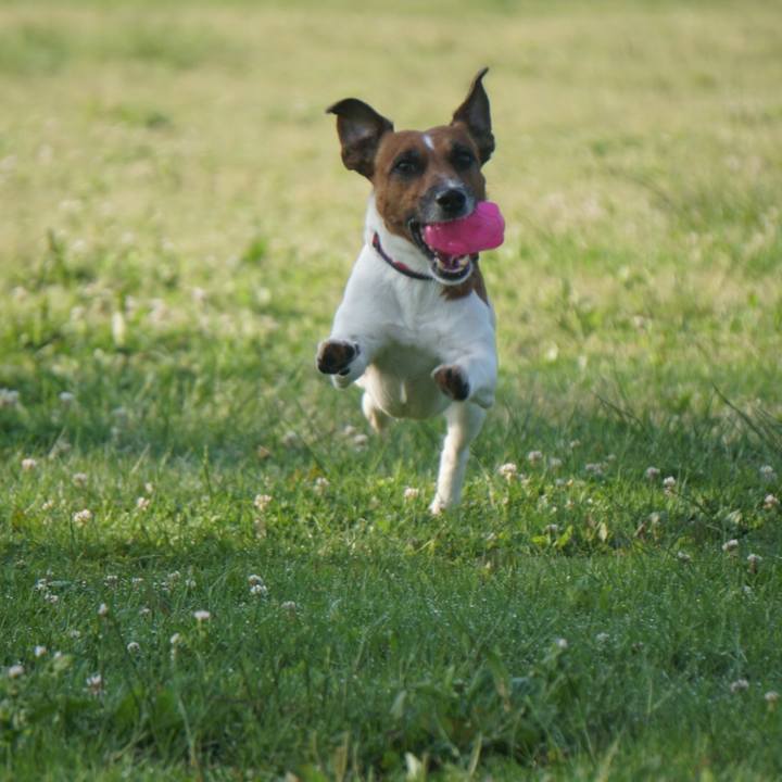 9f461761 7127 421e ab30 2775cd793bc4 1525387835618