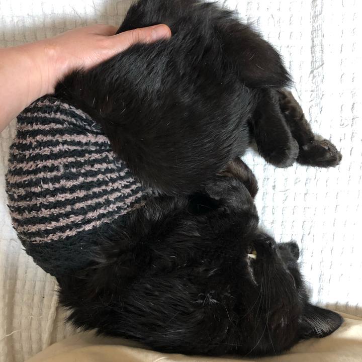 9f461977 8fbf 4d60 88cb 3720d2b6030d 1637499544592