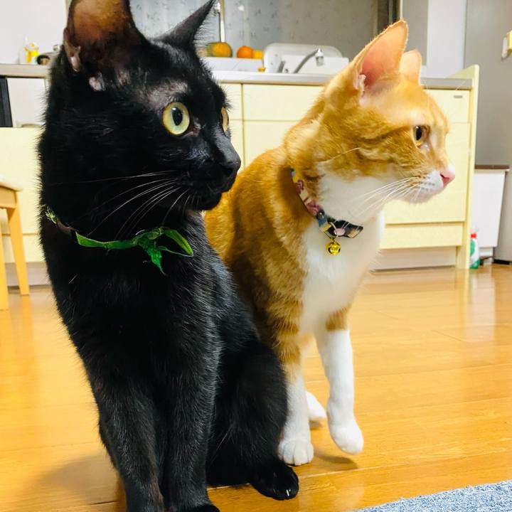 9f461b85 83d3 4535 af9d 1a37fda5e6fe 1665834786880