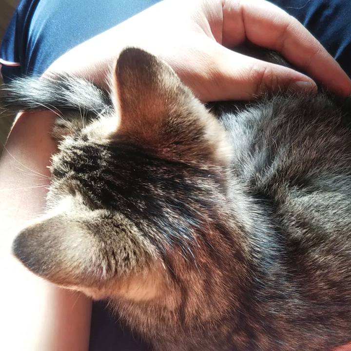 9f466bd7 97a3 45eb 89bf fdfc7f697814 1634799299876