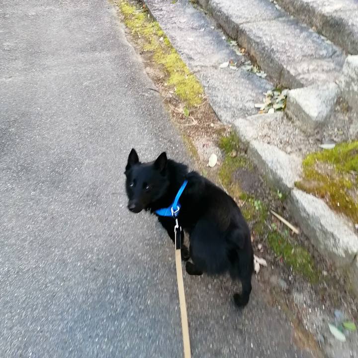 9f4682b0 3135 458e b399 141bd79f73e2 1613774620697