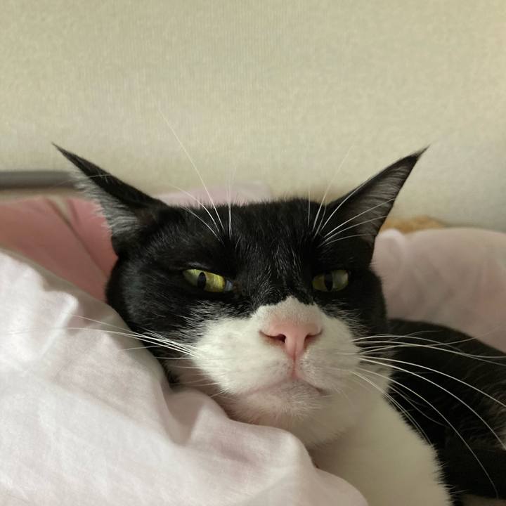 9f468c9b 9802 4de2 9e73 70d699cd739e 1620096606454