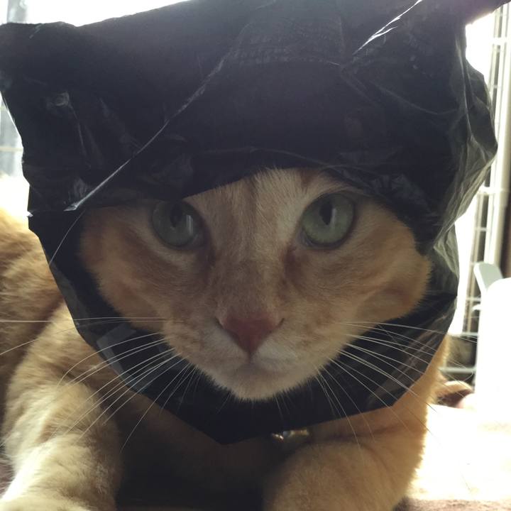9f46926b 3cf6 4ead 86fb 9055b4e4c37f 1583826719343