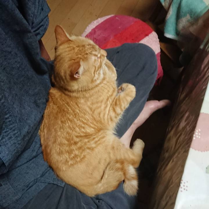 9f469531 901b 40ac a64a 3887309b8028 1661429530436