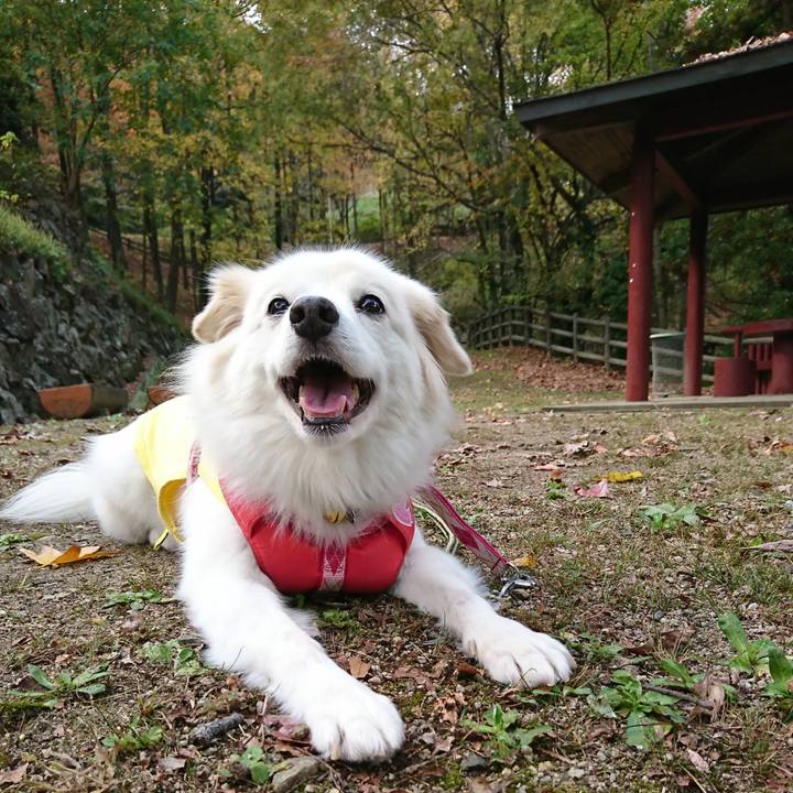 9f46ceba b5f5 41e0 95af 2f3ee1e31cf4 1636924975799