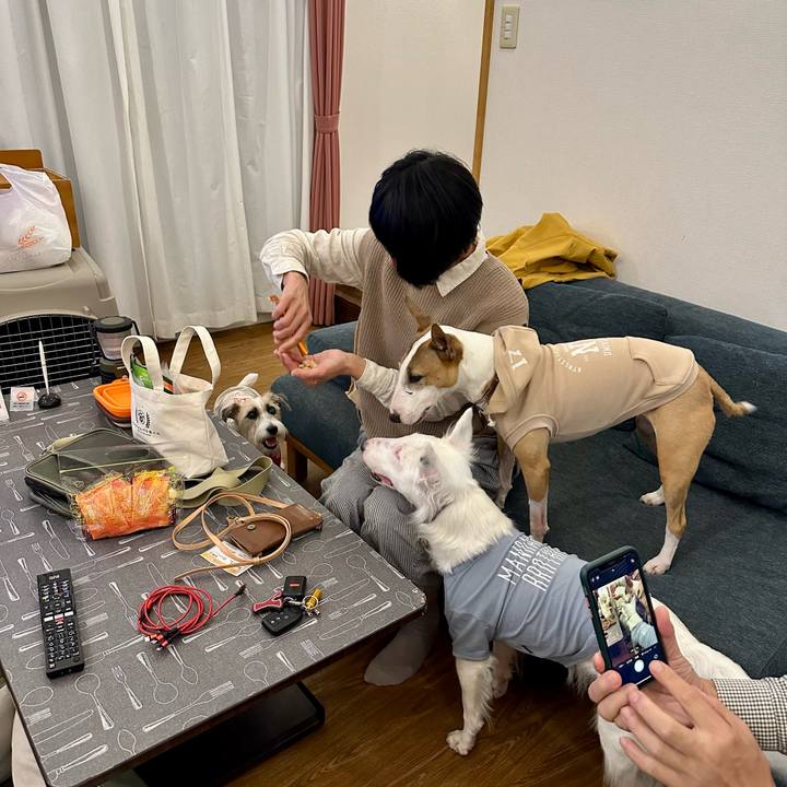 9f46ed04 ca70 4555 9277 3fd77766ddd7 1697386093897