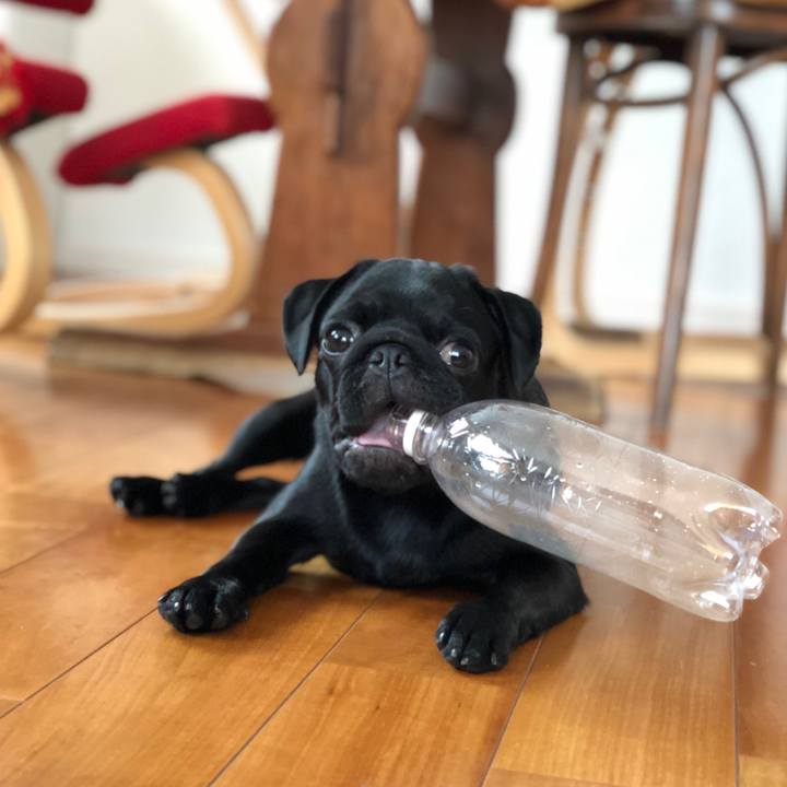 9f46f25b f3ba 4748 bc69 875407fe63ff 1595829797983