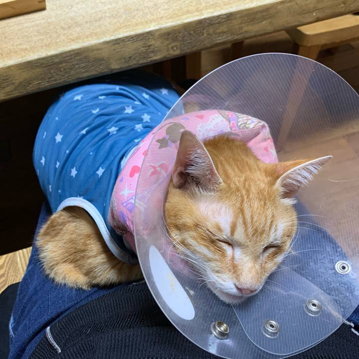 9f46fdae 0869 4114 8dad d5d79aa551b7 1630674109154