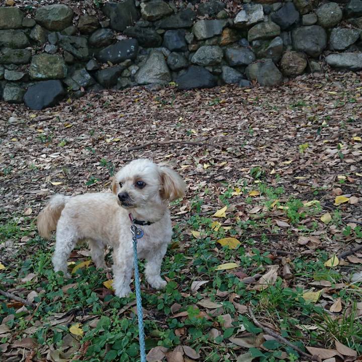 9f470521 f4c4 43ba b779 7f2dc15c27d5 1606105169126