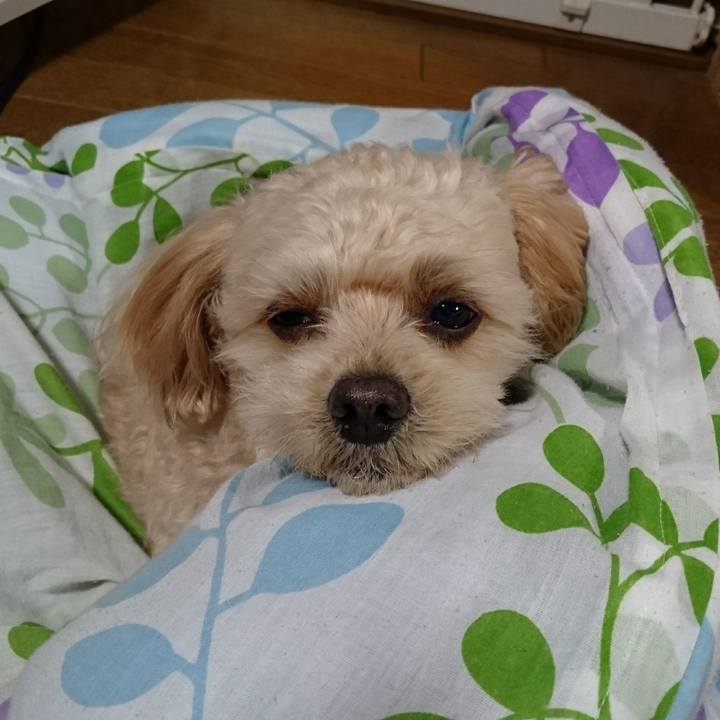 9f47196e 73b8 45e1 8fff 3d817395af36 1606650062609