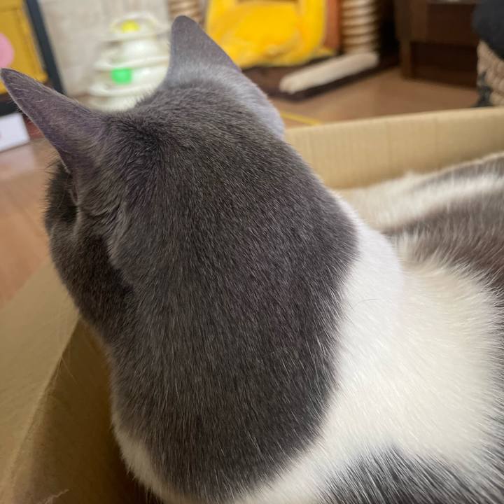 9f47396f b16a 4df1 a048 a928a709fc39 1715305031369