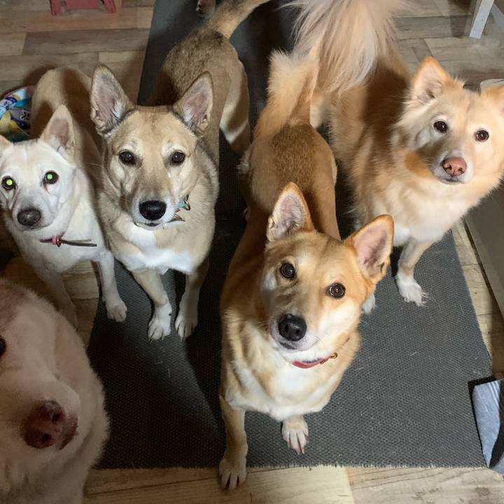 9f478272 9c09 459e 8370 99f5878621cc 1678001874367