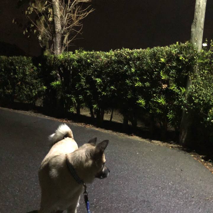 9f47c3da b37c 4a21 8948 412087db7756 1604744408099