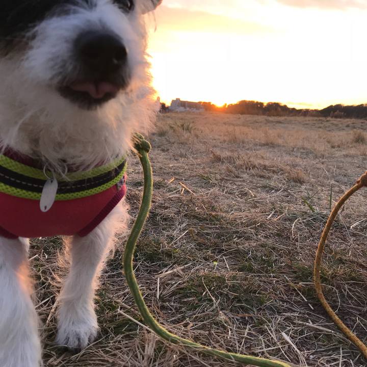 9f480703 1e5e 4677 b4be 90771e0cc4ae 1515745370878